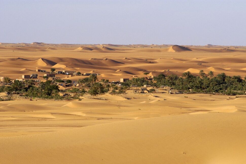 desert oasis in Chinguetti, Mauritania