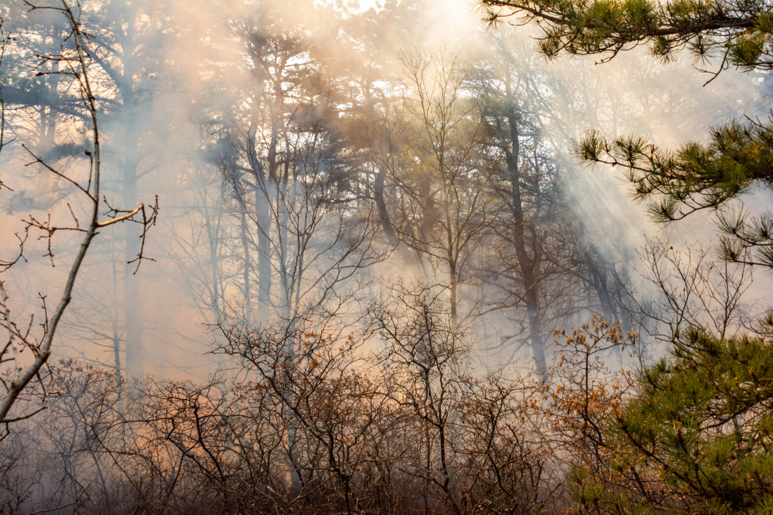 Sunlight through a smokey haze during a wildfire